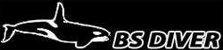 BS DIVER