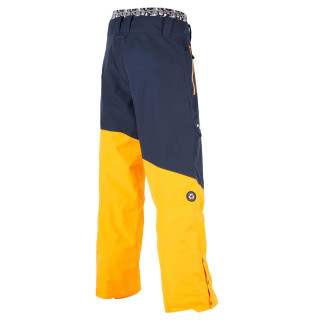 Picture Organic брюки Alpin 2020 dark blue-yellow фото