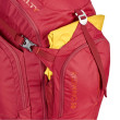 Kelty рюкзак Redwing 50 - 2019 garnet red photo 5