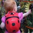 Little Life рюкзак Animal Toddler ladybird new photo 4
