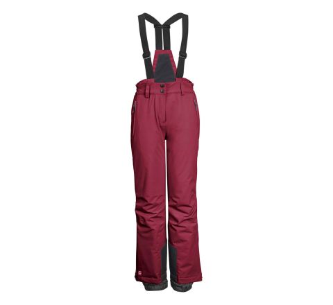 00498 dark raspberry