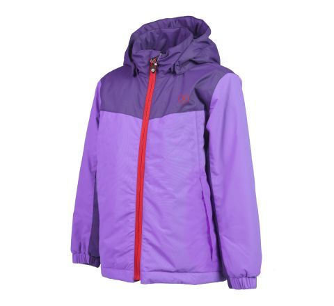 04175 purple hebe