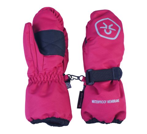  0443 raspberry